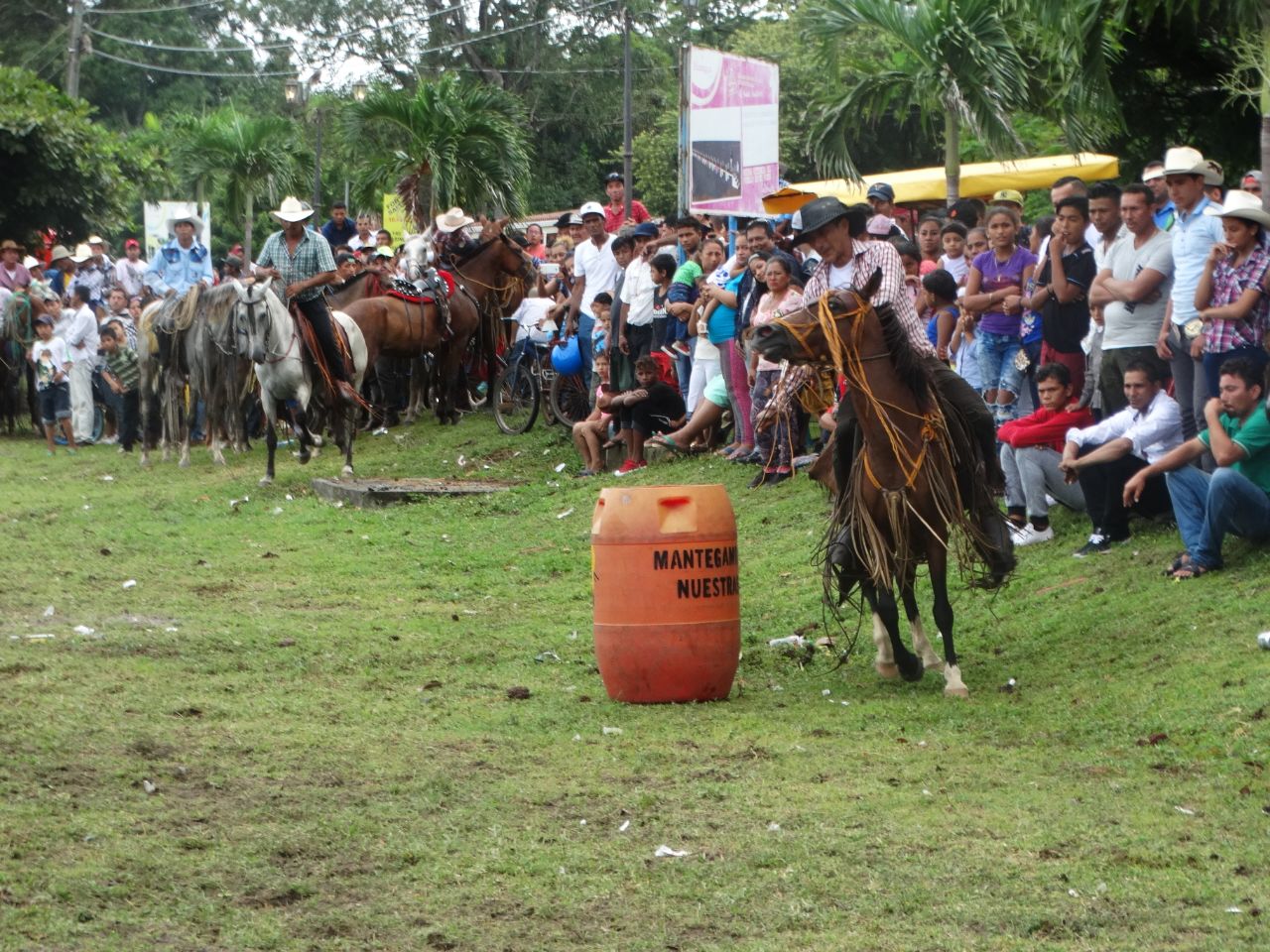 caballos